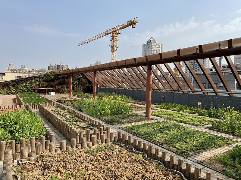 海綿城市建設(shè)中屋頂綠化的實(shí)踐路徑